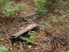 Stove pipes near Summit Pond